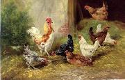 unknow artist Cocks 126 oil painting on canvas